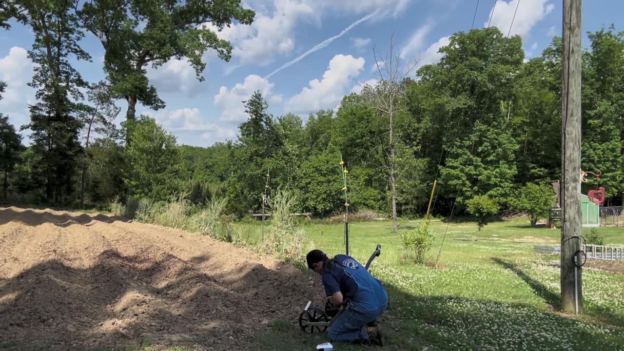 Exceptional Wife's Garden Makeover: Farmall's & 100 Tomato Plants