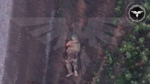 Ukrainian Drones Smashing Russian Soldiers