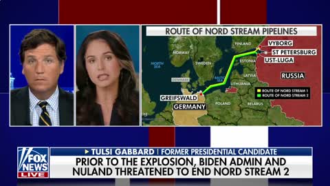 Tulsi Gabbard This Biden official just 'exposed' the administration