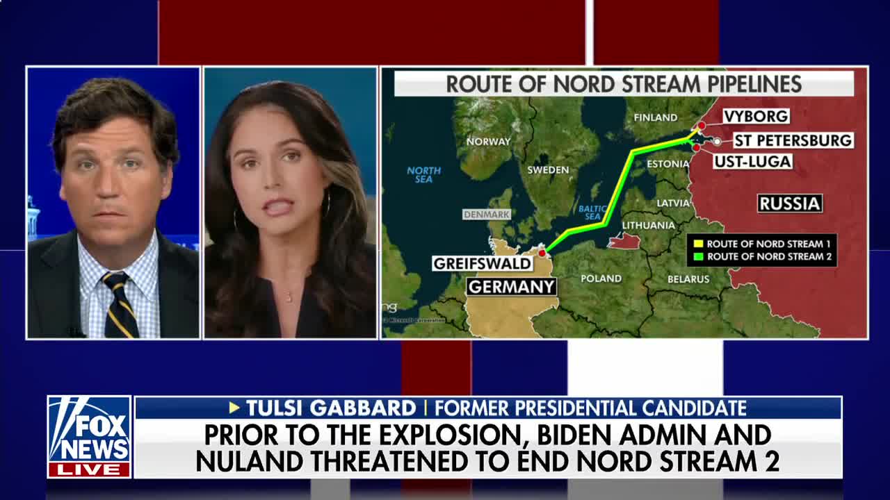 Tulsi Gabbard This Biden official just 'exposed' the administration