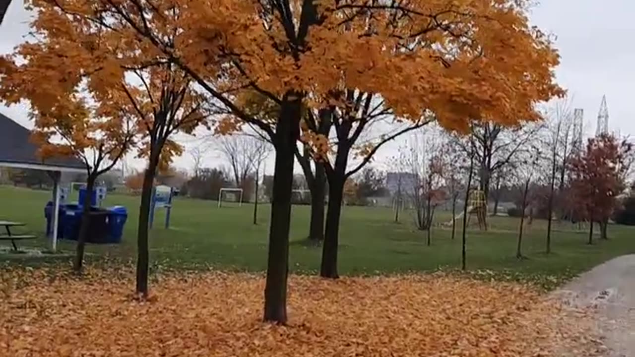 Centennial Park - fall Ontario