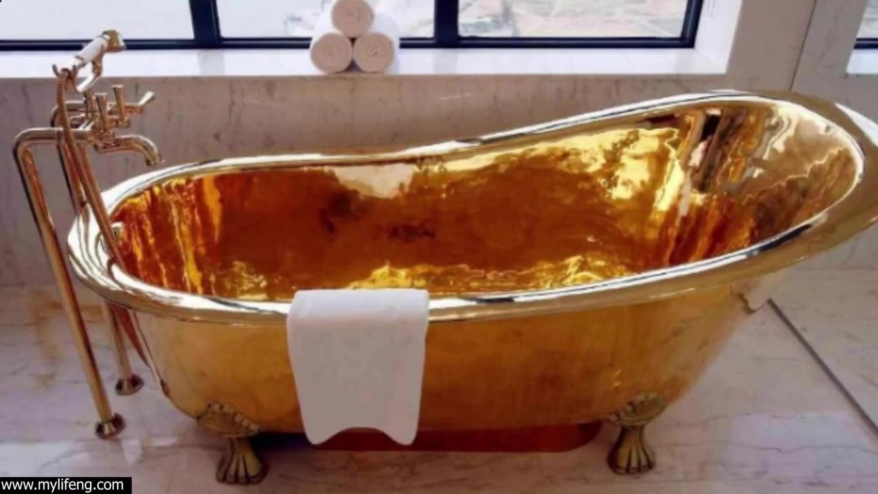 How Much Was Mike Tyson's Bathtub