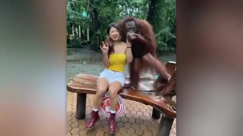 Wild animals