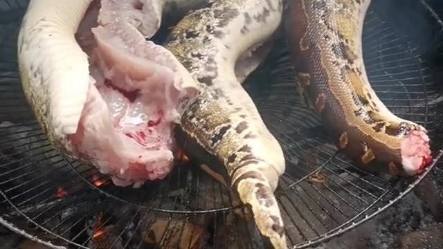 Imagine Python meat on fire is dead or not