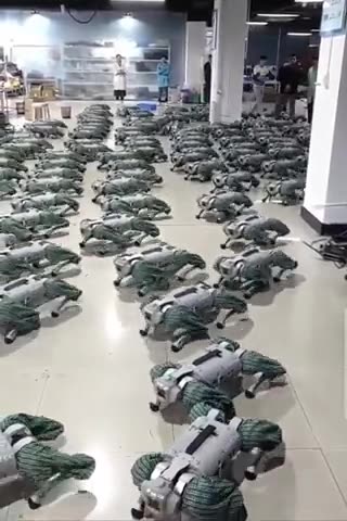 In pochi si stanno rendendo conto di quello che si sta