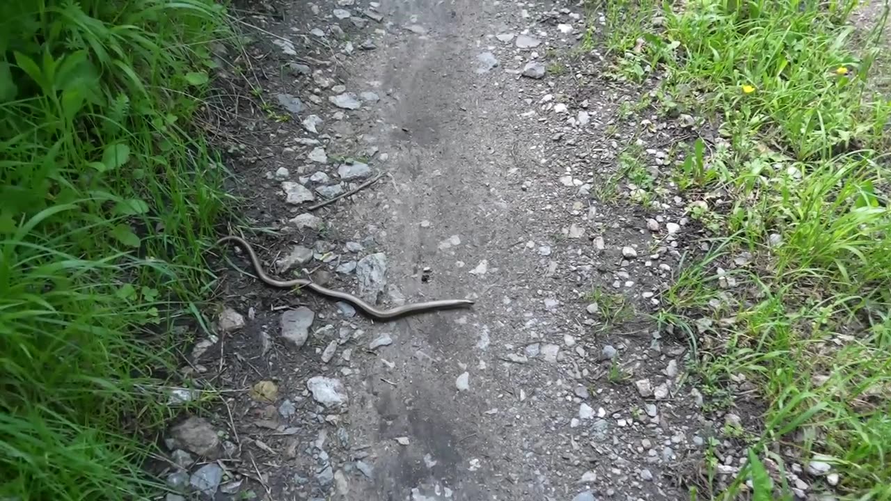 RTANJ - MYSTERIOUS MOUNTAIN (PYRAMID)