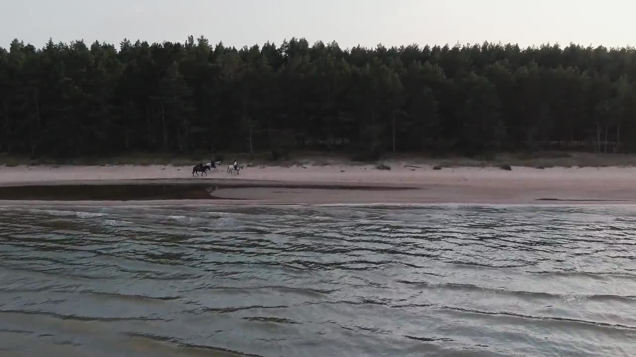 Horseback riding along the coast.