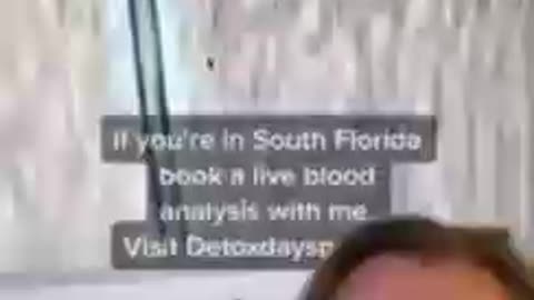 Parasite found in the blood of a client