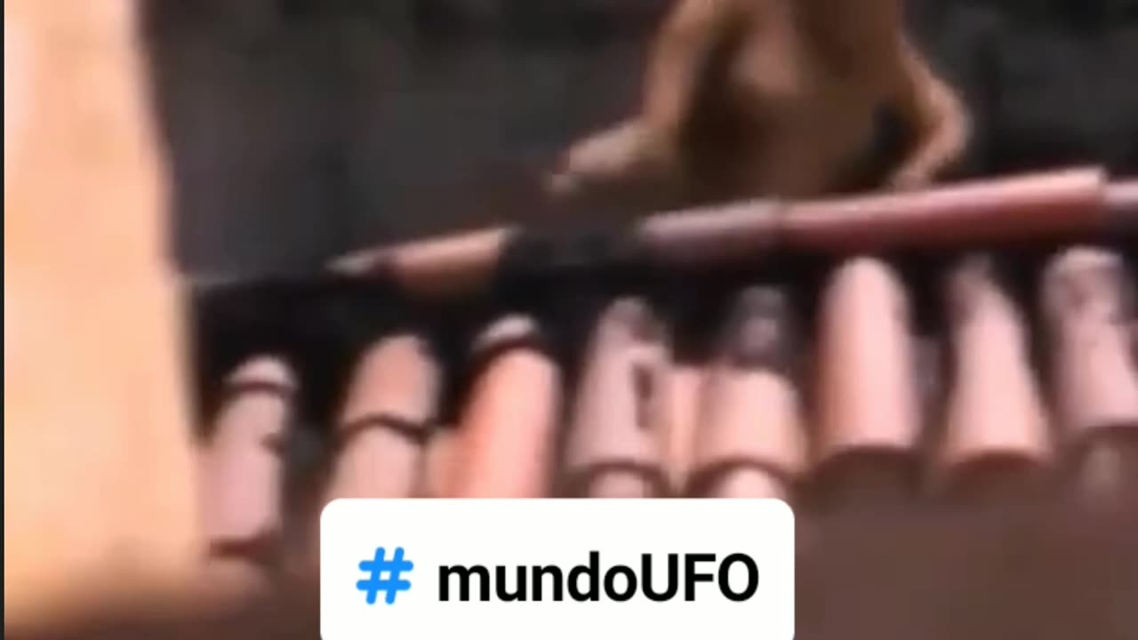 O que será isso? 🤔😱😱