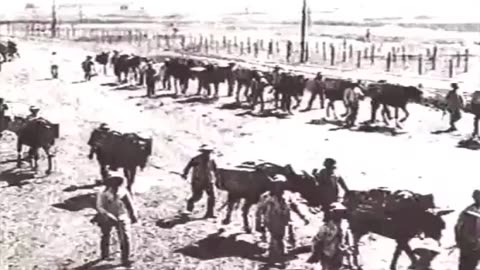 Sobre España y Marruecos (1909)