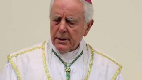 Bishop Richard Williamson on The Globalist Coup