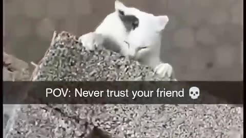 Never trust your friend 😠🤯