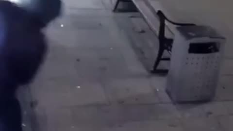 Lonely Thief
