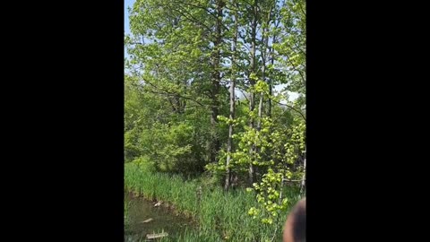 London, Ontario - Springbanks Park