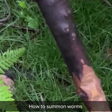 Worm Grunting (read description)