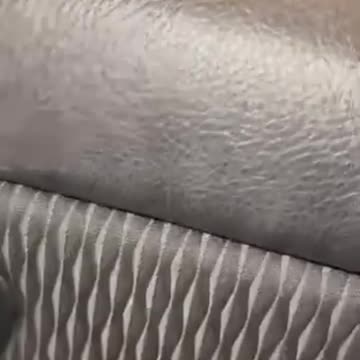 That driver was incredibly rude