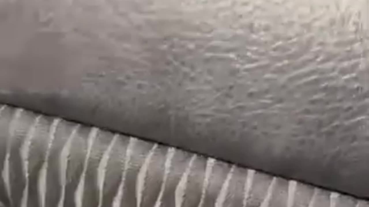 That driver was incredibly rude
