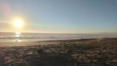 Tranquil Beach Solitude