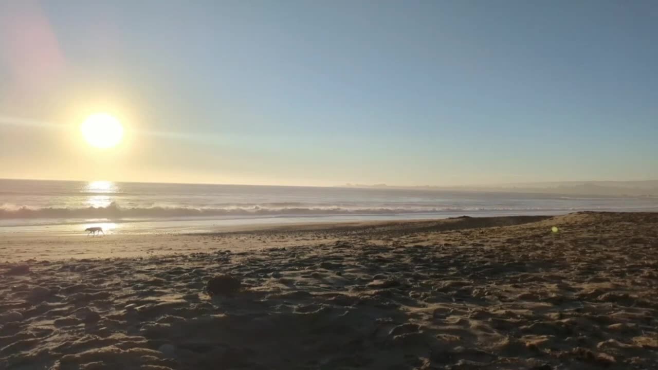 Tranquil Beach Solitude