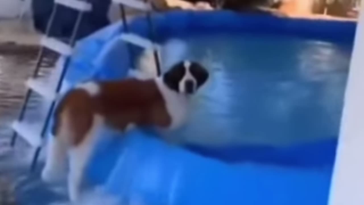 Fun clip 12
