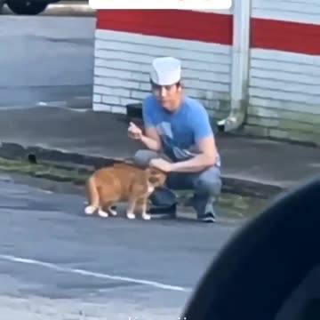 Strange China Man Tries To Kill Cat For Food