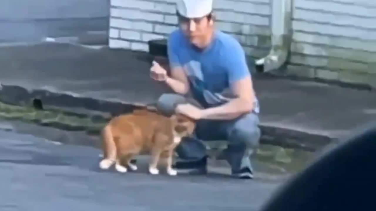 Strange China Man Tries To Kill Cat For Food