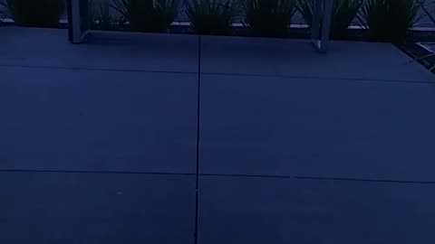 THE LAST ELEVATOR TO RIDE.