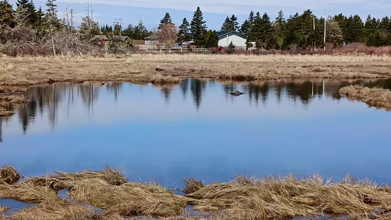 Spray Day Over Nova Scotia April 24th 2024