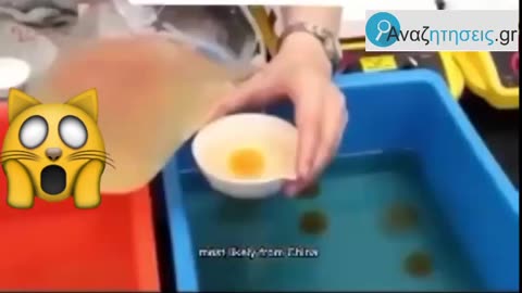 Ψεύτικα τρόφιμα απο άγνωστες ουσίες με αρώματικά...