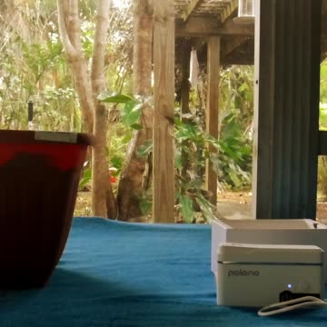 Polono P31S Label Maker