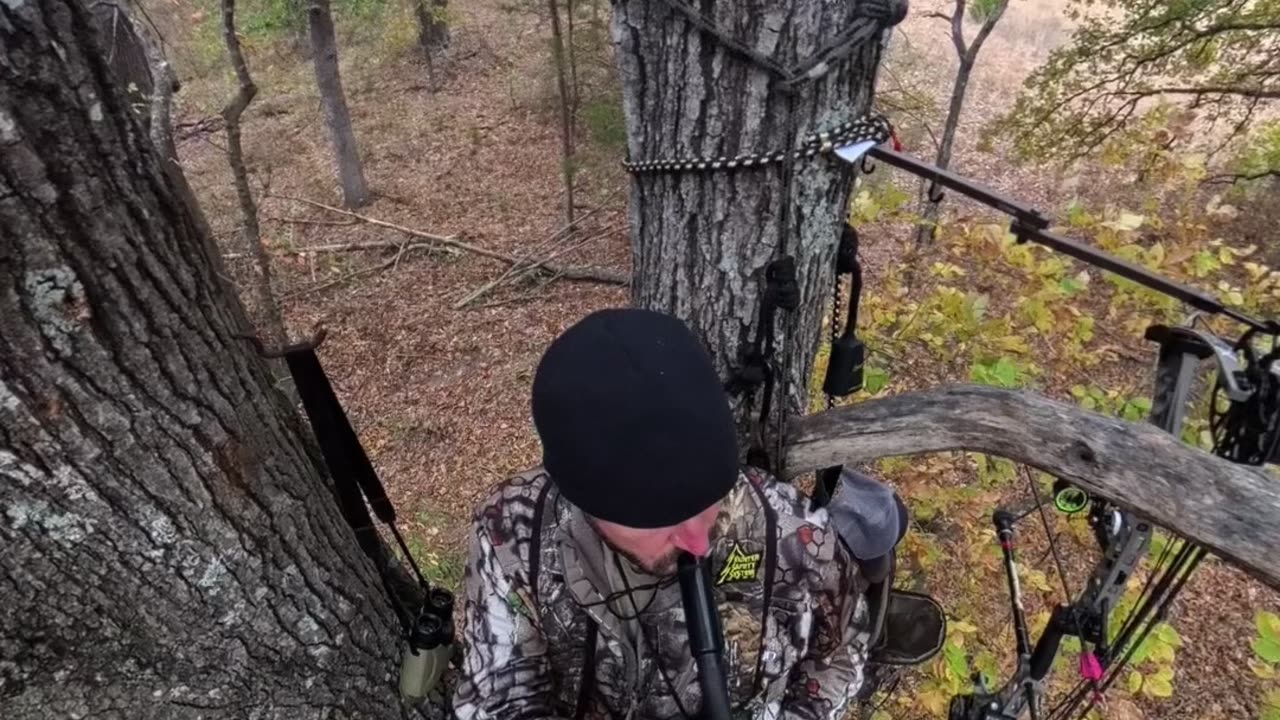 Whitetail Rut Hunting