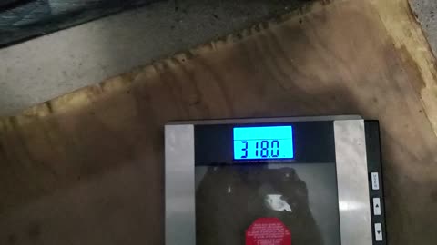 Weigh-In May 6, 2024