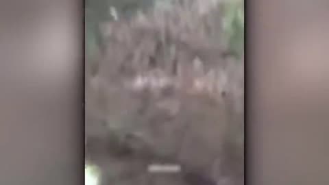 Everyone Was Terrified By These Scariest Videos In The World‼️