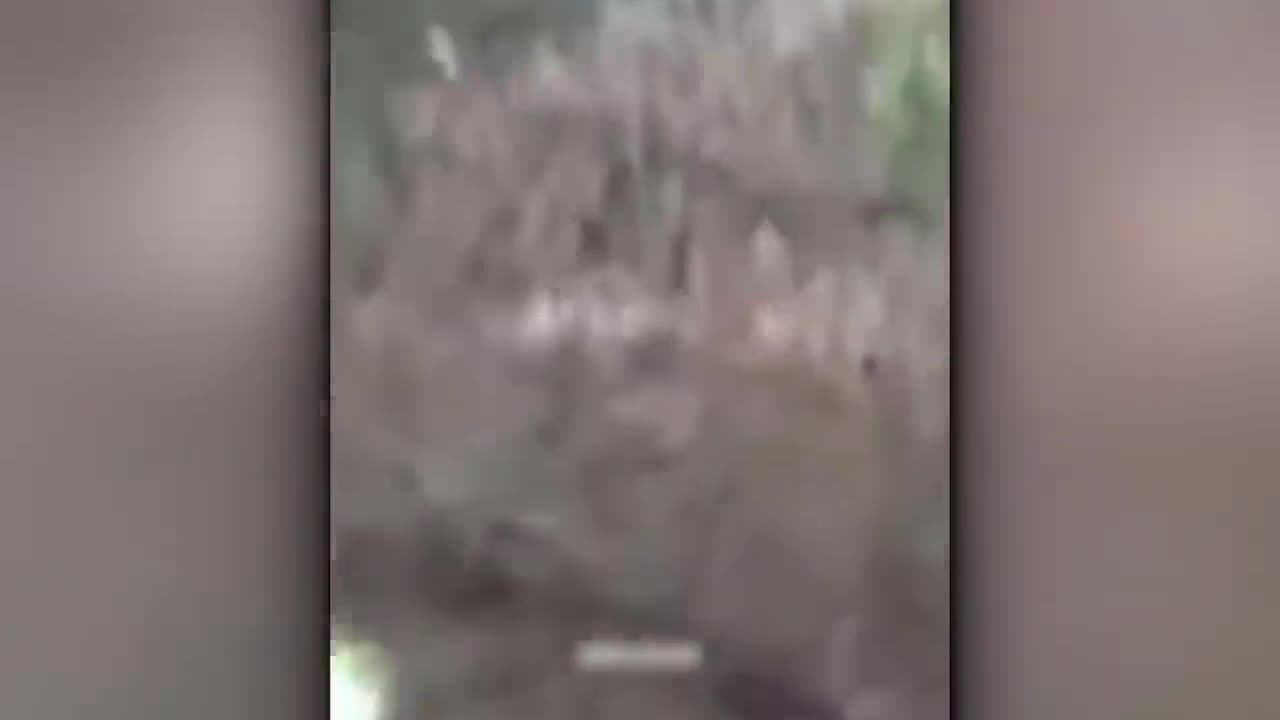 Everyone Was Terrified By These Scariest Videos In The World‼️