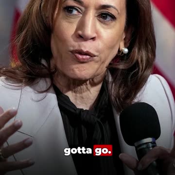 What is AJ’s book, The White Privilege Album, really about?