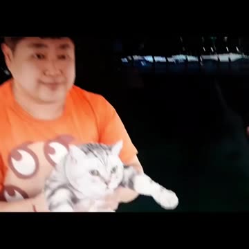 (Old VRChat MEME) put me down human