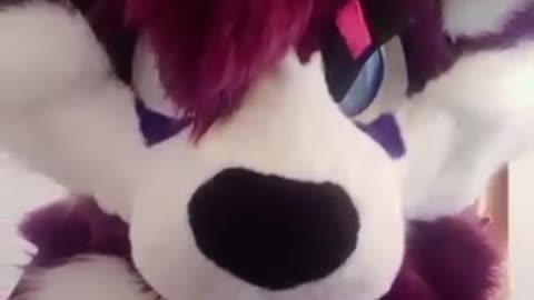 I WISH I had a fullsuit 🙄