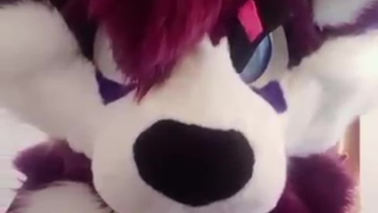 I WISH I had a fullsuit 🙄