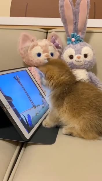 Watching Tom & Jerry