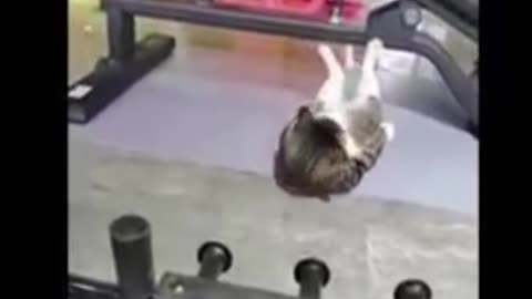 Cat and Dog funny video | Footage No Copyright | Funny animals - Funny animal videos 2023