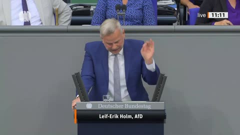 Leif-Erik Holm Rede vom 13.09.2024 – Wirtschaft und Klimaschutz