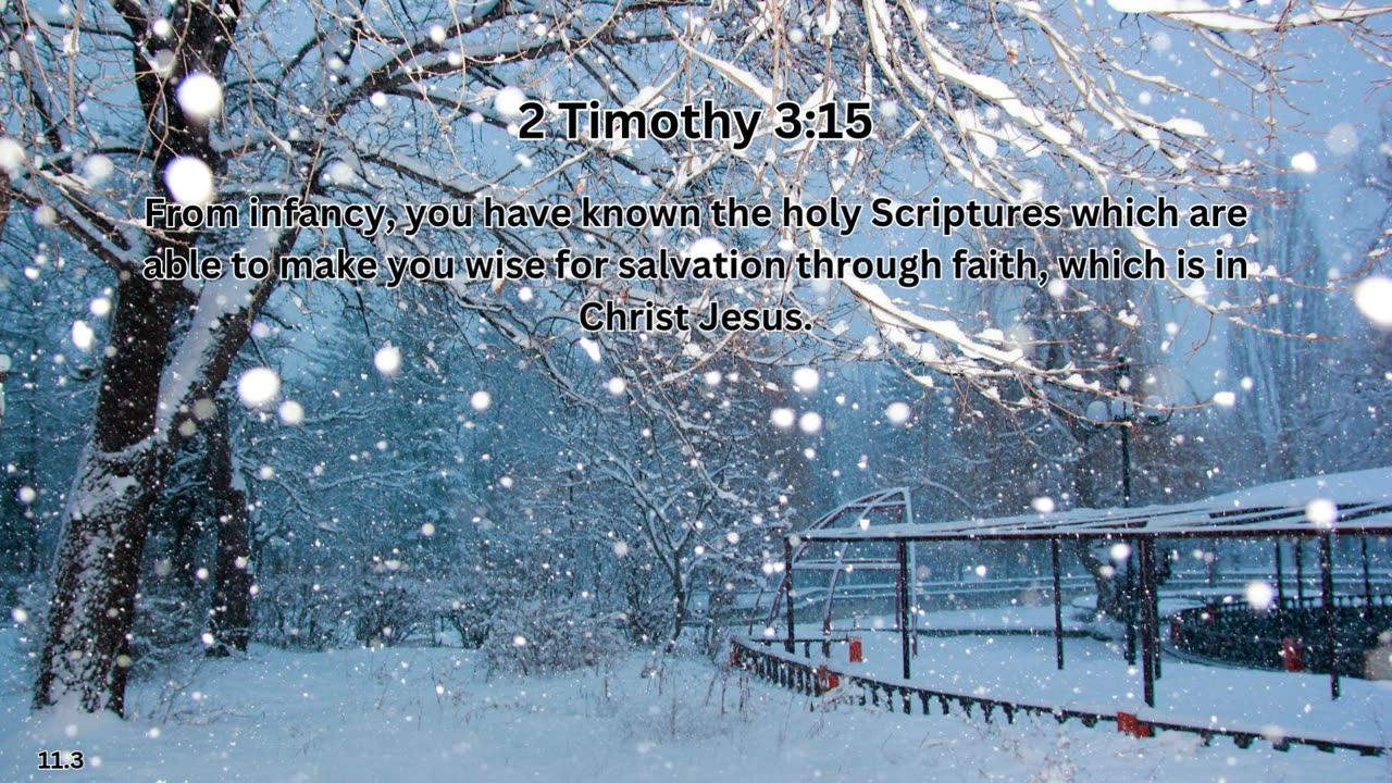 Journey of faith and spiritual growth | 2 Timothy 3:15 #dailybread #dailyverse #dailybibleverse