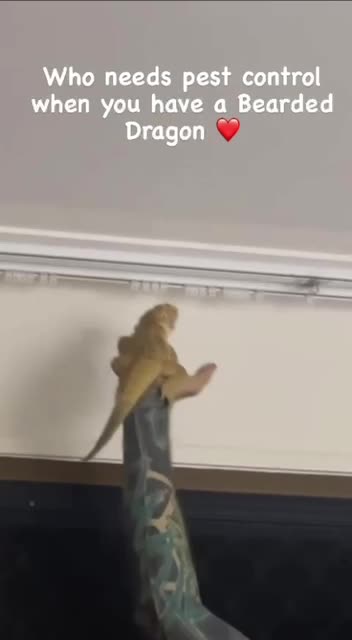 Excellent pest control system