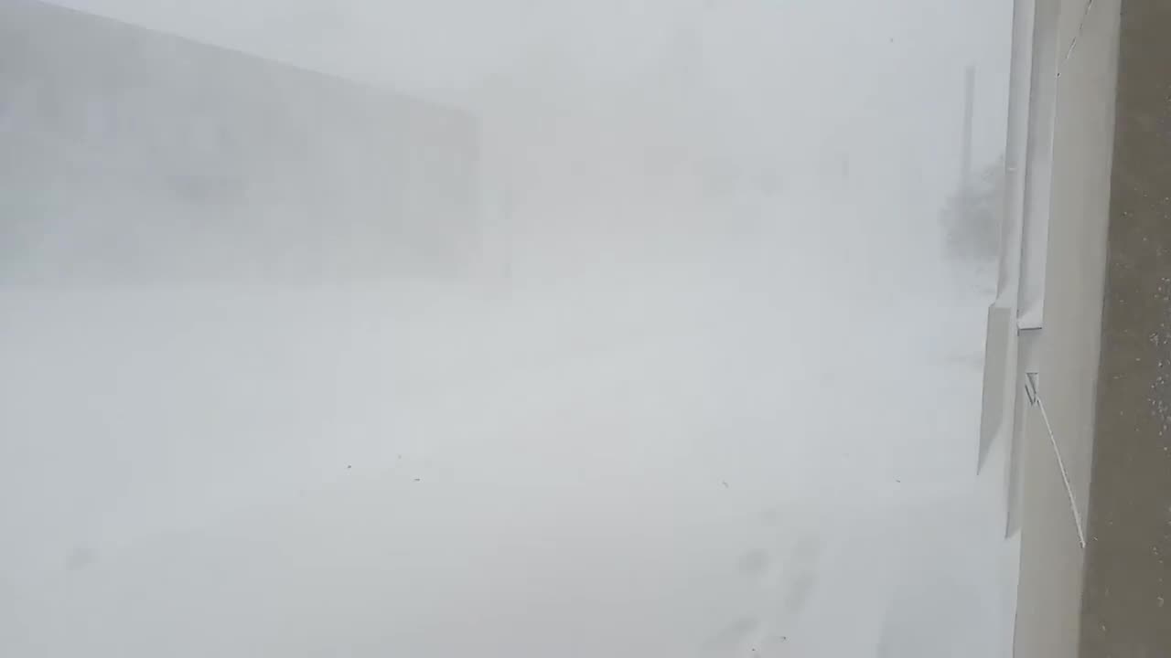 BUFFALO BLIZZARDS