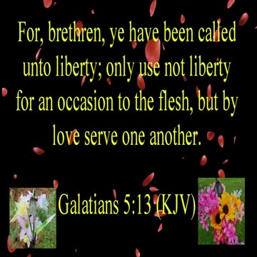 Galations 5:13 (KJV)