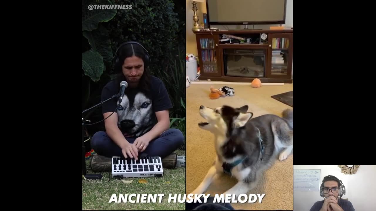 The Kiffness x Haiku the Husky - Ancient Husky Melody Reaction