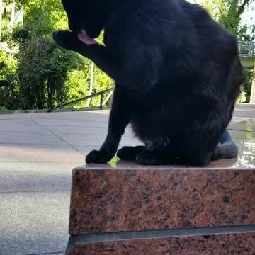 20240502 162019 Tux Washing Up