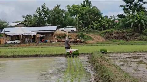 Best rice planter