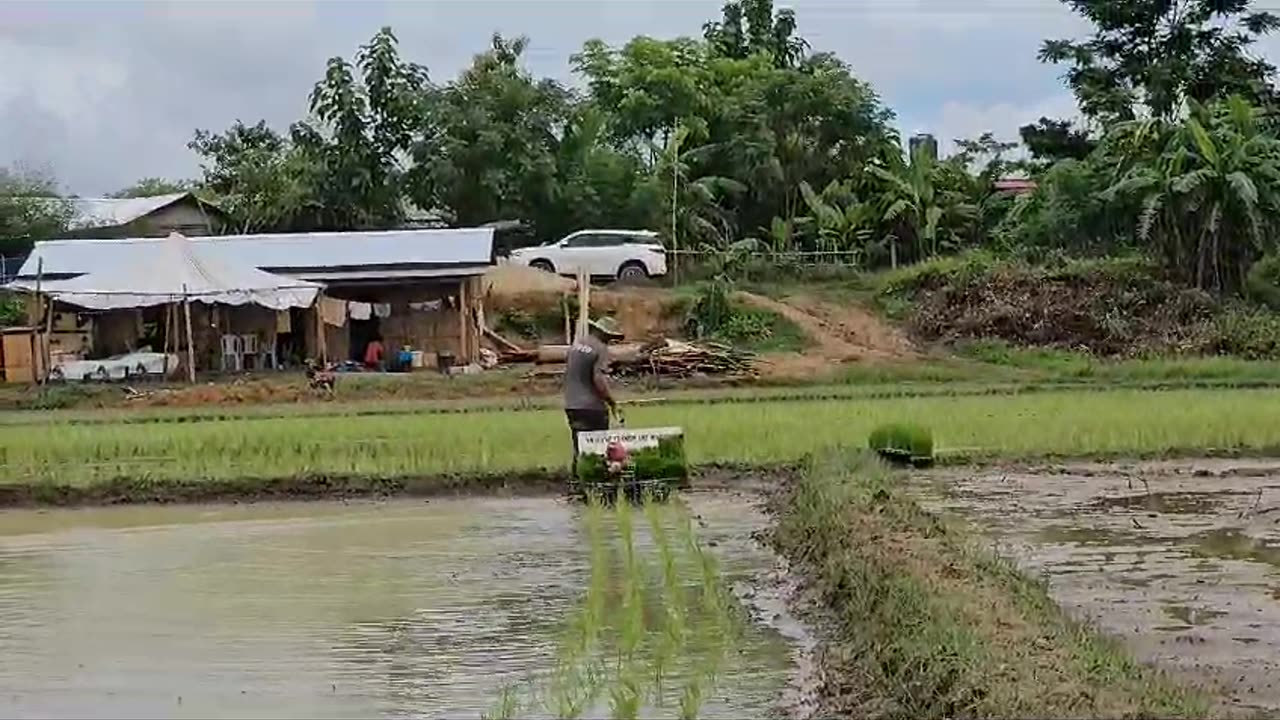 Best rice planter