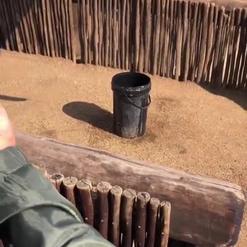 A huge elephant who wants to drink water